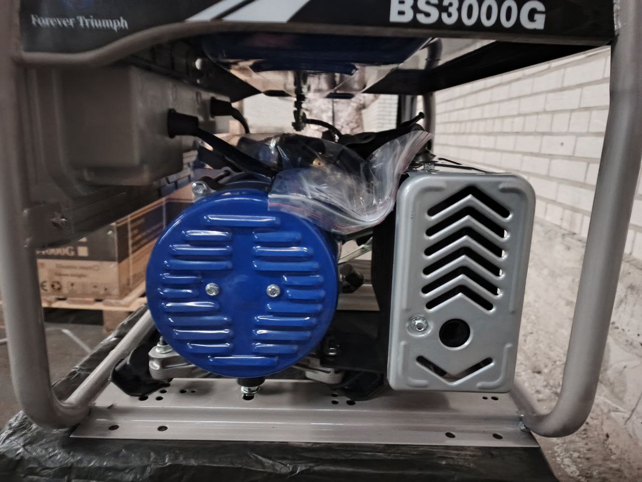 benzinovij generator bs3000g 4